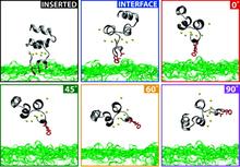 Figure 5. Snapshots at t = 0 showing the six different initial configurations tested.